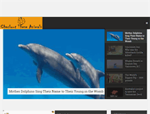Tablet Screenshot of checkouttheseanimals.com